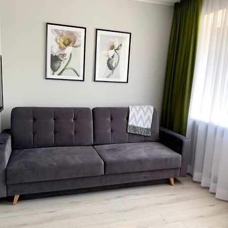 Appartement Patogus Miegas IV à Anykščiai Extérieur photo